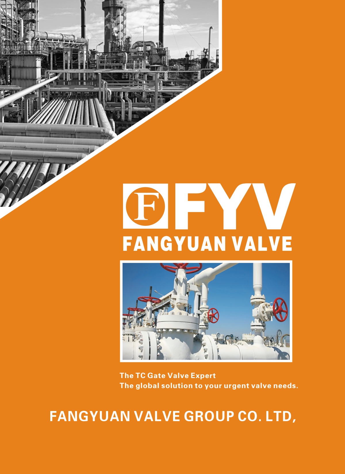 FANGYUAN VALVE E-BOOK�����A���Q��ӕ���
