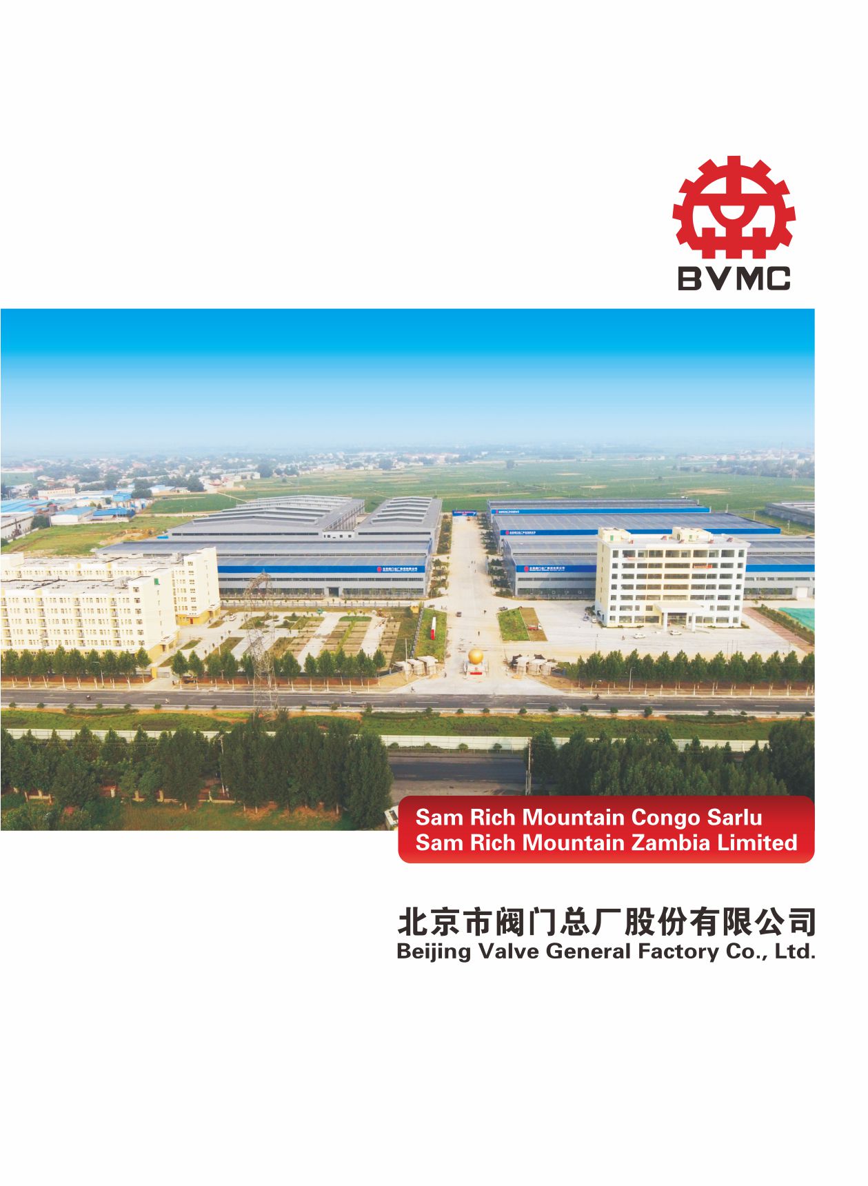 �������y�T���S��Ӯ���